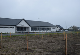 Zdjęcie nowo posadzonych drzew (photo)