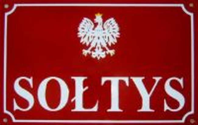 Wybory