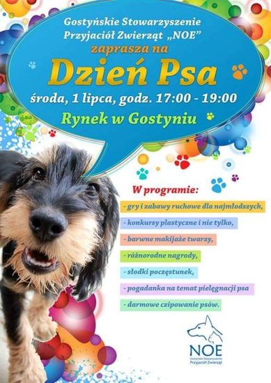 Dzień