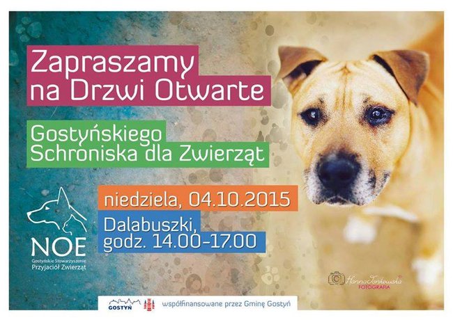 Zaadoptuj