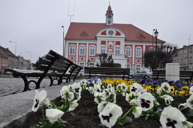 Pojawiły