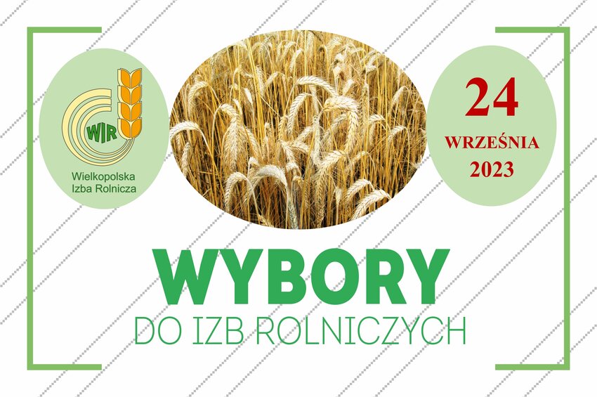 Wkrótce