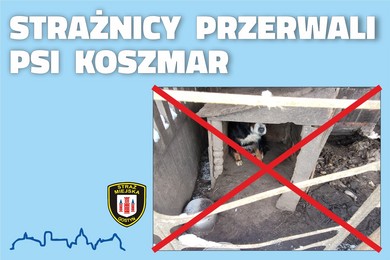 Strażnicy